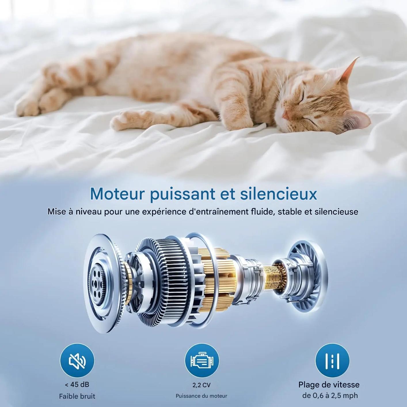 Tapis de course pliable - Rigueur - Discipline