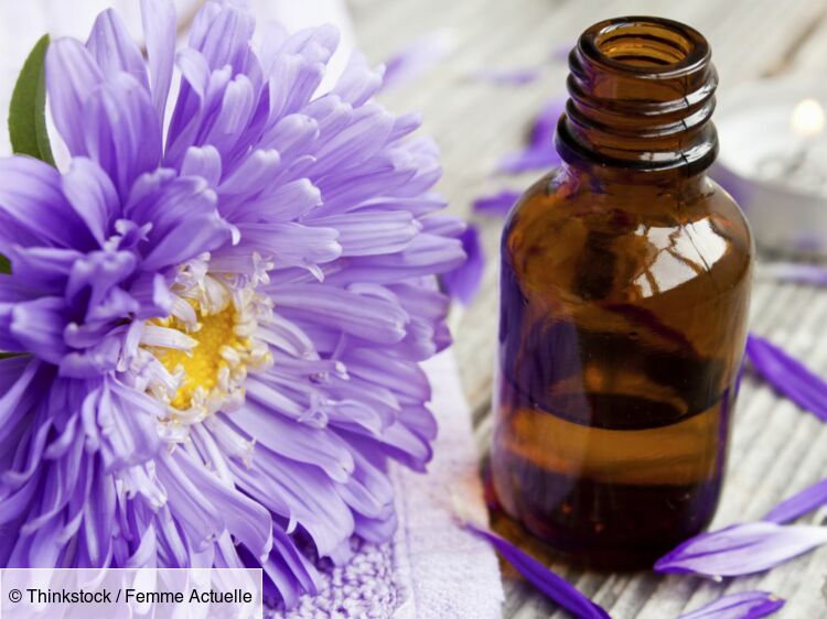 Fleur de bach minceur : tout ce que vous devez savoir pour atteindre vos objectifs - Rigueur-Discipline