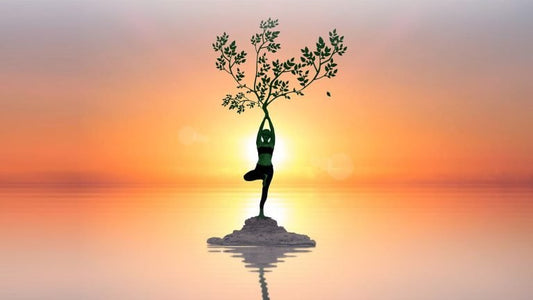 Le fitness holistique : une tendance émergente pour un bien-être global